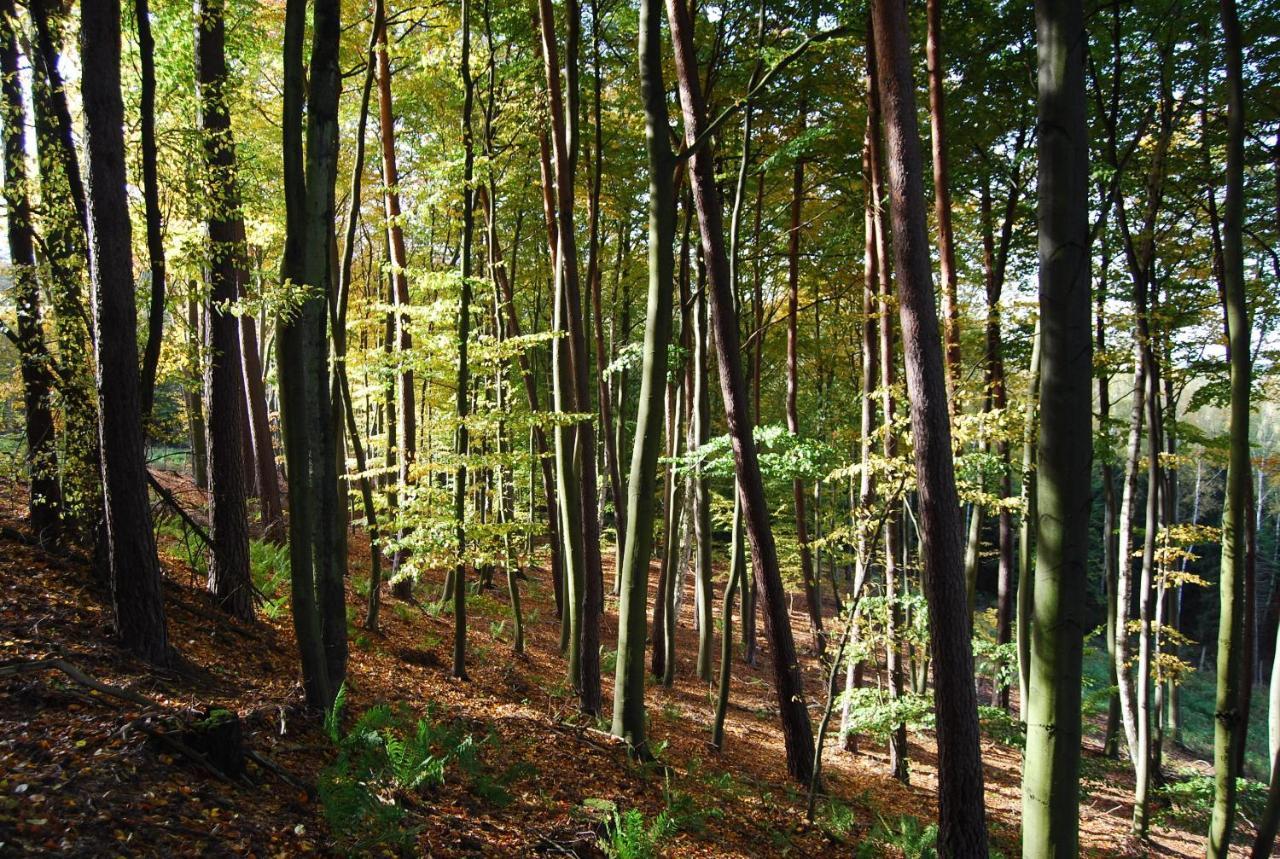 Osrodek Wypoczynkowy Laguna Lubniewice Kültér fotó